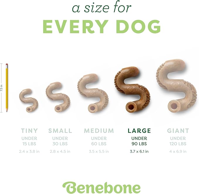 Benebone Tripe Bone Durable Dog Chew Toy for Aggressive Chewers, Real Tripe, Made in USA, Large