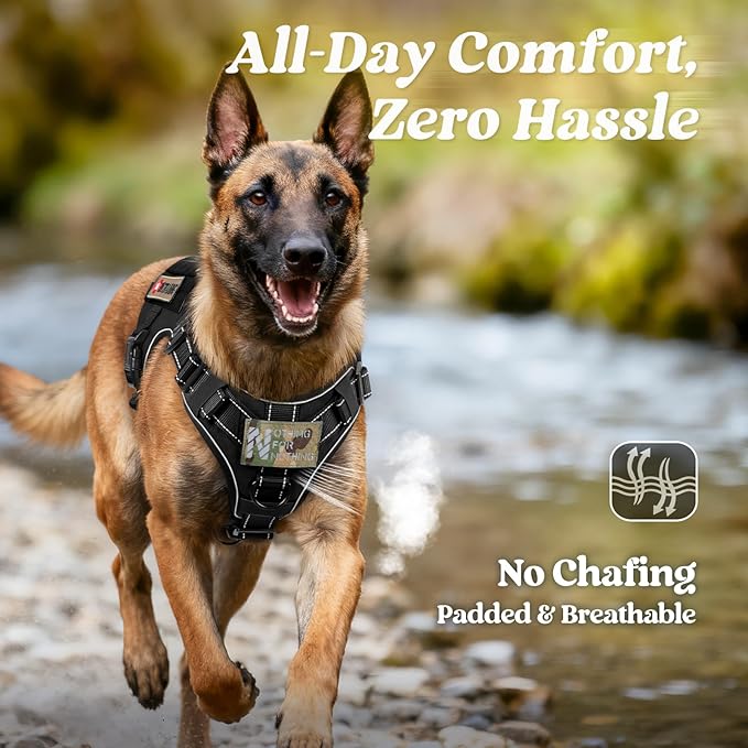 rabbitgoo Tactical Dog Harness Medium Sized, No Pull Upgraded Reflective Heavy Duty Molle Vest with Handle, Adjustable Military Service Dog Vest for Walking Hiking Training, Black, M