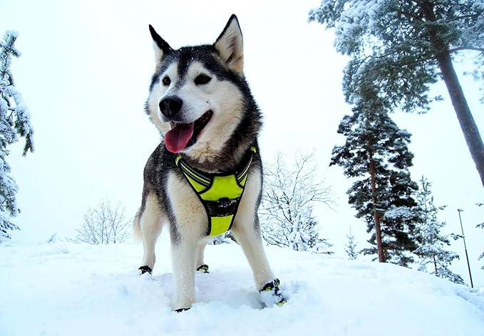 TRUE LOVE Adjustable No-Pull Dog Harness Reflective Pup Vest Harnesses Comfortable Control Brilliant Colors TLH5651(Neon Yellow,M)