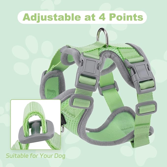 Small Dog Harness and Leash Set, No Pull Adjustable Pet Harness for Small Dogs, Breathable Mesh Rflective Dog Vest Harness (Green, M)