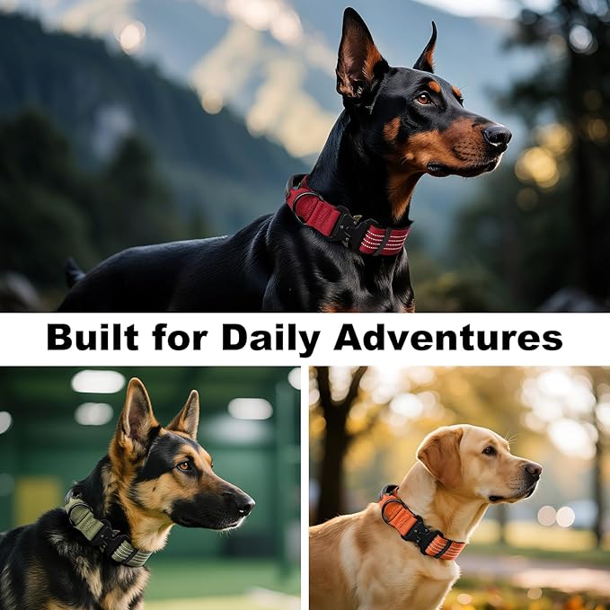 Plutus Pet Tactical Dog Collar with Tracker Packet for AirTag, Adjustable Reflective Nylon Collar, Metal Buckle, Leather-Wrapped Handle, Soft Padded for Medium Large Dogs (Ranger Green, L)