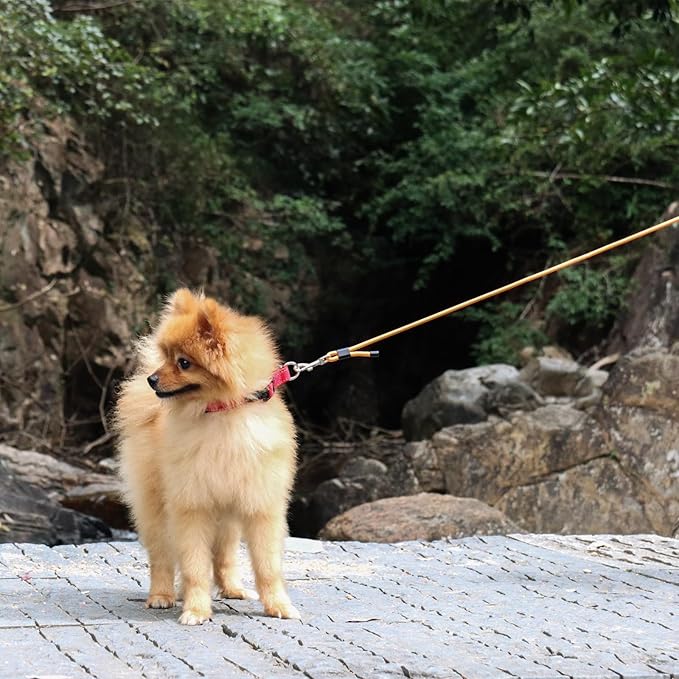 2 Pack Rope Dog Leash, 4.5 ft Lightweight Premium Rope Leash with Comfortable Padded Handle, Reflective Dog Leashes for Small and Medium Dogs, Kid-Friendly Family Set