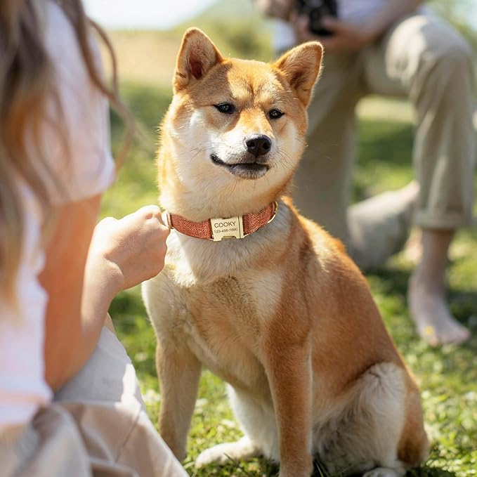 Polyester Personalized Dog Collar with Name and Phone Number, Customizable Laser-Engraved Collar with Metal Quick Release Buckle for Dogs (Tan)