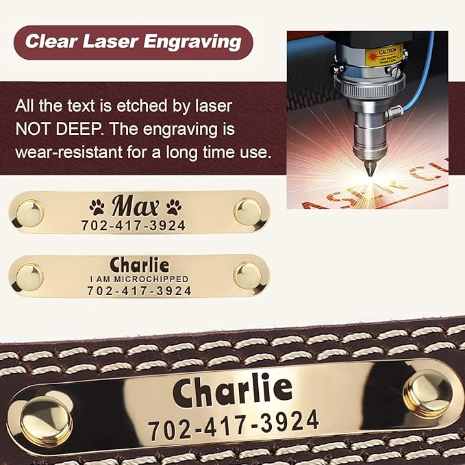 Personalized Dog Collar - Custom Leather Dog Collar with Engravable Nameplate - Durable Name Tag Collar - Customizable Dog Collar - Comfortable ID Collars for Small, Medium, Large Dogs (Small)