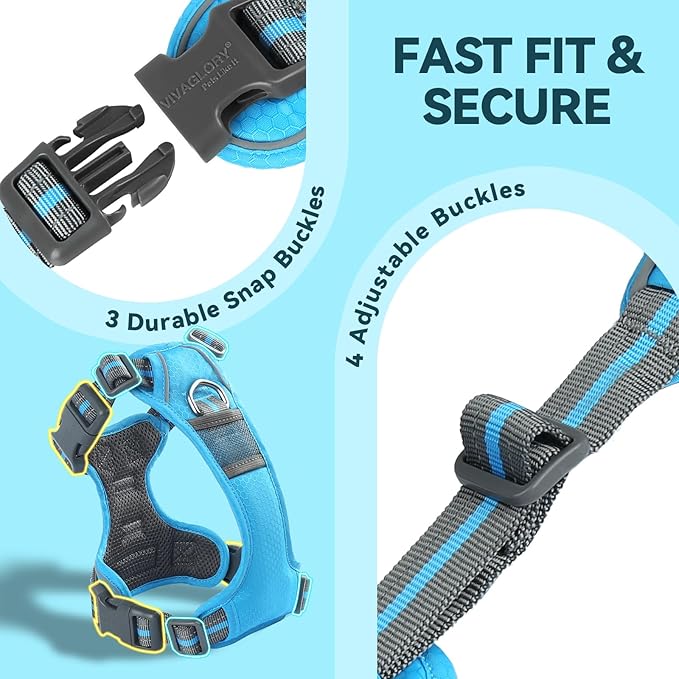 VIVAGLORY Dog Harness Easewalk No Pull Dog Harness with Handle & Front Back Clip for Training Lifting, Easy On Adjustable Padded No Pull for Pet & Puppy, XS, Blue