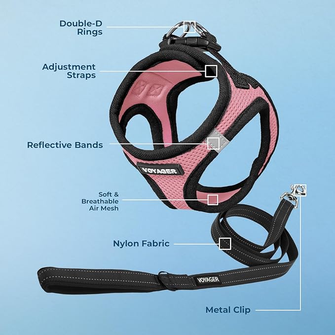 Voyager Step-in Air All Weather Mesh Harness and Reflective Dog 5 ft Leash Combo with Neoprene Handle, for Small, Medium and Large Breed Puppies by Best Pet Supplies - Pink/Black Trim, XX-Small