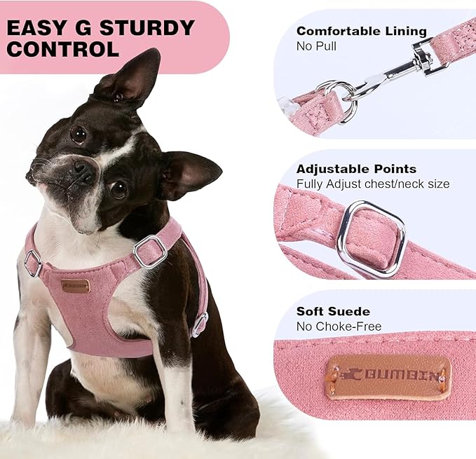 Dog Harness and Leash Set, XXS No Pull Adjustable Puppy Harness with Multifunction Pink Dog Leash and Dog Collar, Soft No Choke Escape Proof Pet Harness Vest for Small Dogs and Cats (Red, S)