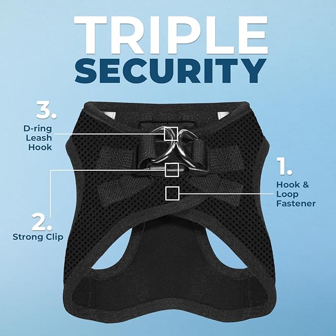 Voyager Step-in Air All Weather Mesh Harness and Reflective Dog 5 ft Leash Combo with Neoprene Handle, for Small, Medium and Large Breed Puppies by Best Pet Supplies - Set (Black), L