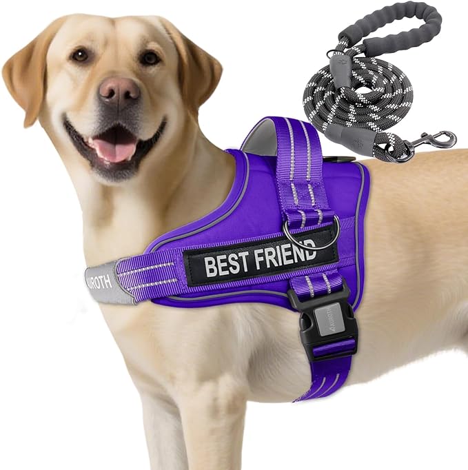 AUROTH Dog Harness and Leash Set, Soft Padded Dog Vest with 5.25FT Dog Leash, No Choke, Easy On Pet Vest, Adjustable Reflective No Pull Dog Harness for Large Dogs, Easy Walking and Training