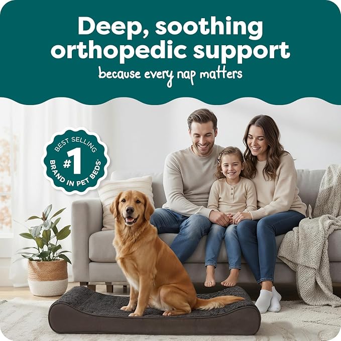 FurHaven Orthopedic Dog Bed for Large Dogs, Luxe Lounger Contour Mattress with Solid Orthopedic Foam Slab for Joint Support, Removable Washable Cover, Jumbo XL, Plush Suede, Chocolate
