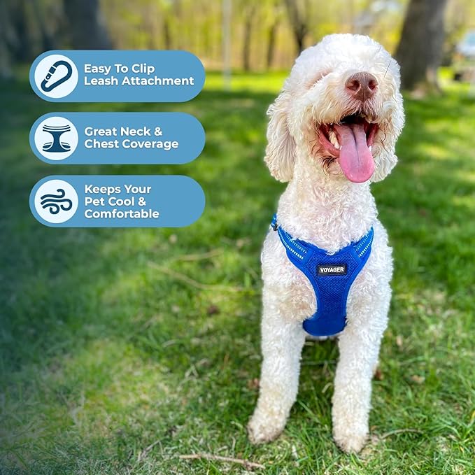 Best Pet Supplies Voyager Mesh Dog Breathable Harness Reflective Stitching, All Weather Adjustable for Walking Training, or Running - Heavy Duty & Durable, Harness (Royal Blue), XS