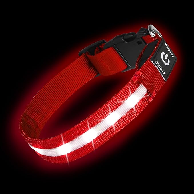 Super Bright LED Dog Collar - Fully Waterproof & Adjustable Glow Collar - USB-C Rechargeable for Night Walking, Safety - Flashing Lighted Collar for Dogs(Red,S)