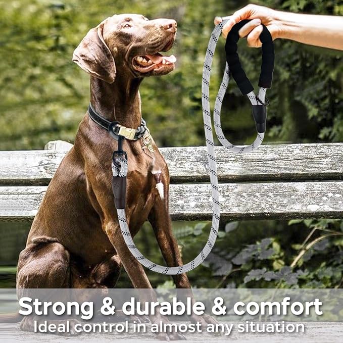 COOYOO Dog Leash 5/6 FT with Comfortable Padded Handle and Highly Reflective Threads for Small Medium and Large Dogs