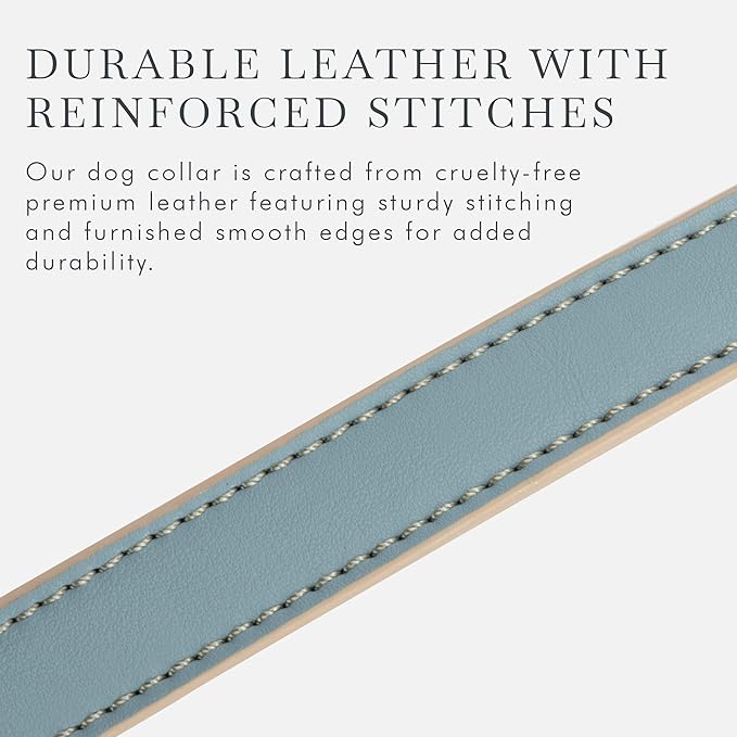 NINA WOOF Cupertino Dog Collars, Harnesses & Leashes Made from Vegan Leather with Dog Tracker Device Holder Adjustable Dog Collar (Small, Blue)