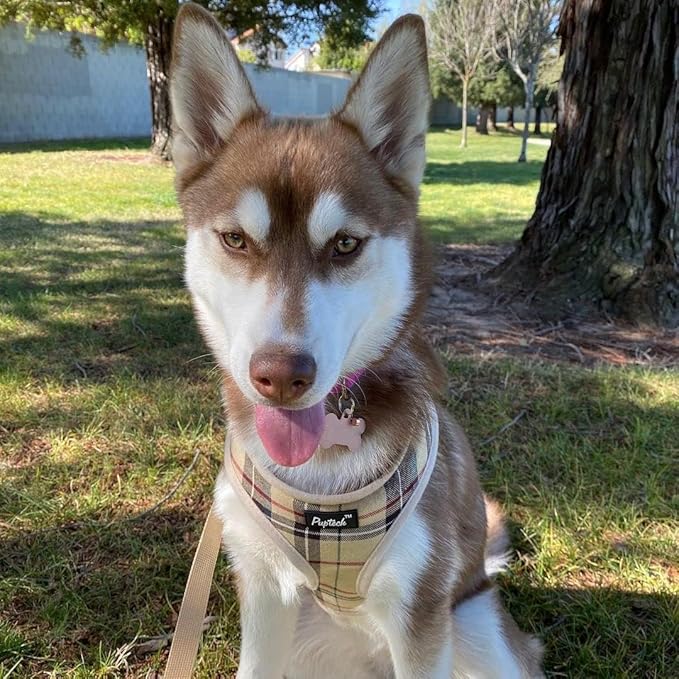 PUPTECK Soft Mesh Dog Harness and Leash Set Pet Puppy Cat Comfort Padded Vest No Pull Harnesses, Beige, L