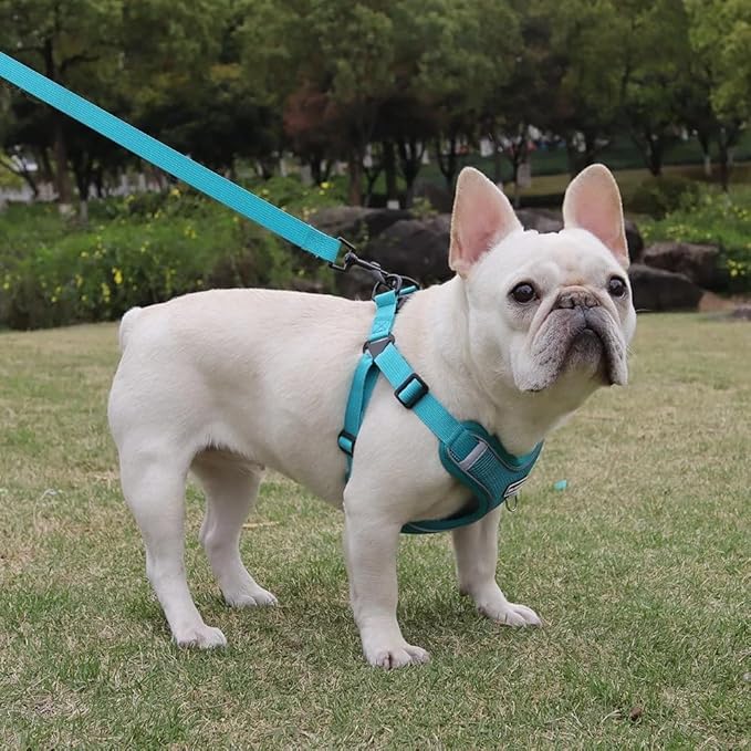 Dog Harness and Leash Set, Adjustable Triangle, Reflective Adjustable Puppy Vest, No Pull Soft Mesh Harness for Small, Medium Dogs, Cats (Turquoise, L)