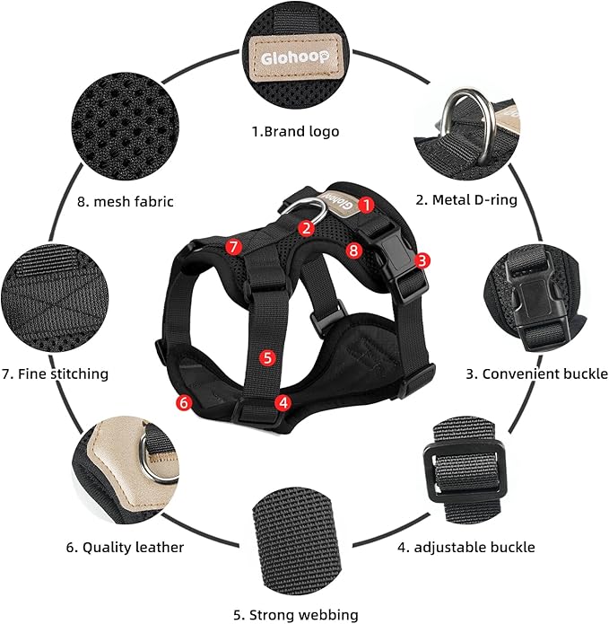Small Dog Harness and Leash Set, Breathable Mesh Puppy Harness, Adjustable Dog Harness for Small Medium Large Dogs, No-Pull Pet Harness for Daily Walking (Black, Large)