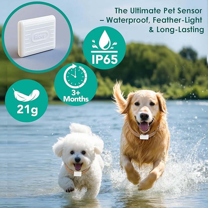 Automatic Dog Door for Wall with Collar Sensors, XLarge Smart Pet Door for Wall, Custom Scheduling & Anti-Pinch, Fits Extra Large Dogs up to 200 lbs (XL)