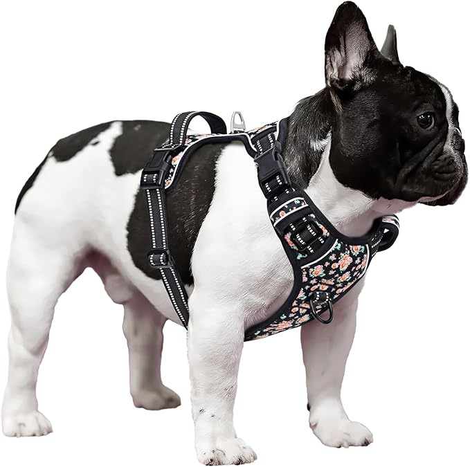 Timos Dog Harness, 3 Snap Buckles No-Pull Soft Padded Dog Vest with 2 Metal Leash Clips,Adjustable Reflective No Choke Pet Harness with Easy Control Handle for Small Dogs,Black Rose,S