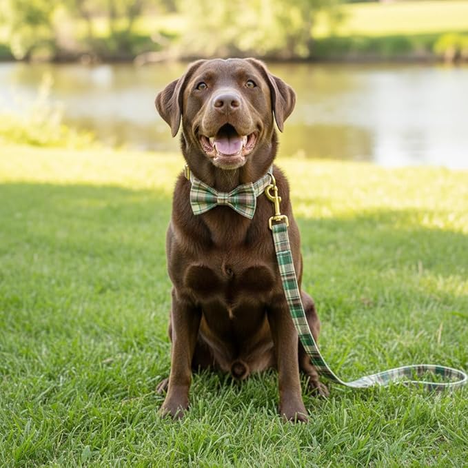 PETDURO Personalized Dog Collar Brown Green Plaid for Large Medium Dogs | Engraved Name and Phone Number on Gold Metal Buckle for Boys & Girls | Add Leash & Bow Tie via Customize Now