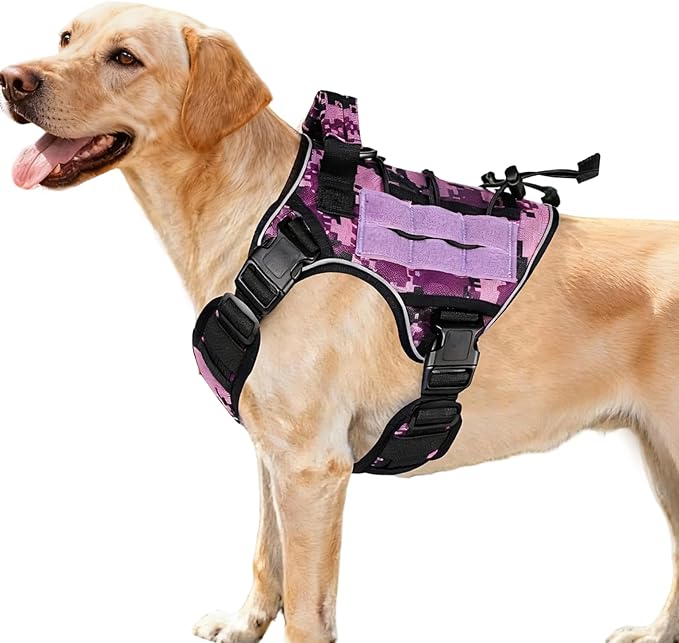 Heavy-Duty Tactical Dog Harness for Large Dogs, No Pull Adjustable Reflective Pet Vest with Molle System, K9 Military-Grade Control for Service Training, Outdoor & 10+ Breeds, Purple Camo, Medium