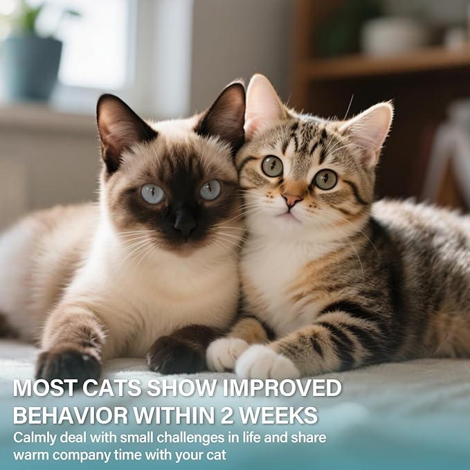 Cat Calming Diffuser Refill 6 Pack Cat Calming Pheromone Diffuser Refill Cat Plug in Pheromones Cat Stress Diffuser Cat Pheromones Calming for Cats Anxiety and Stress 48ml Vial-180 Days Fits All Cats