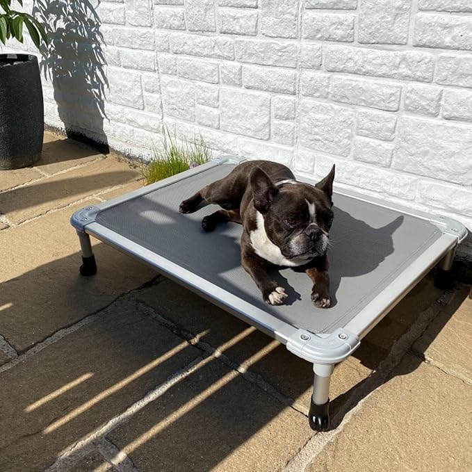 Veehoo Chew Proof Elevated Dog Bed - Cooling Raised Pet Cot - Silver Aluminum Frame and Durable Textilene Mesh Fabric, Unique Designed No-Slip Feet for Indoor or Outdoor Use, Grey, Medium, CWC2003