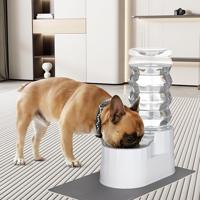 RIZZARI Large Water Dispenser for Dogs: 9L Automatic Stainless Steel Gravity Raised Pet Feeder with Specialized Brush and Triple Filter for Senior Pet Dogs with Neck Pain Garage Living Room