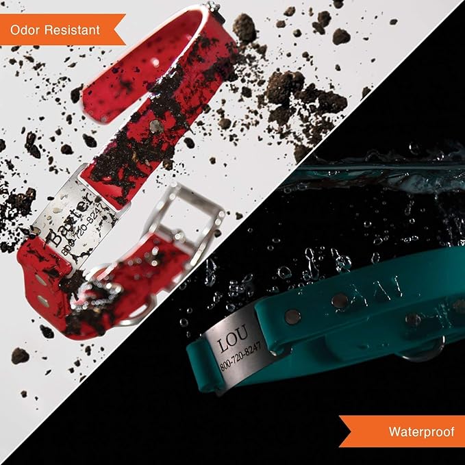 dogIDs Personalized Dog Collar – ScruffTag Custom Waterproof Biothane Dog Collar with Laser-Engraved Name, Durable & Odor-Resistant – USA Made | Hunter Green, 1 in x 16 in (Fits Neck Sizes 14-18 in)