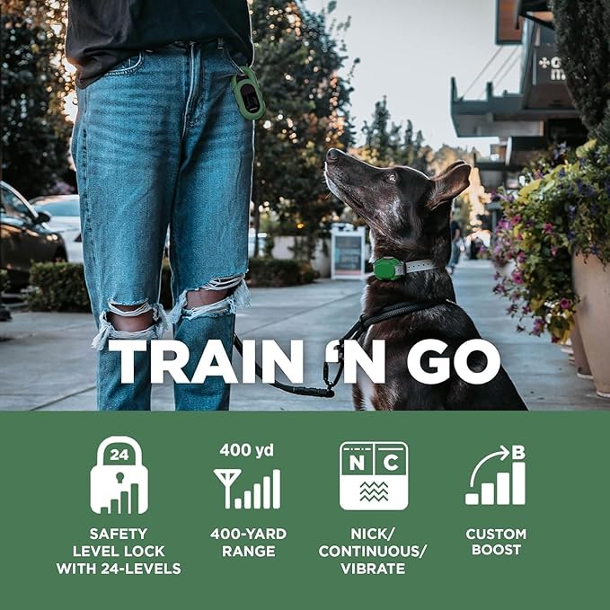 Dogtra CUE Green – E-Collar for Dogs Training Collar with Remote – Training Made Easy for Everyday Dog Owners – Gentle Vibration, Custom Boost, Waterproof, Rechargeable, 400-Yard Range System