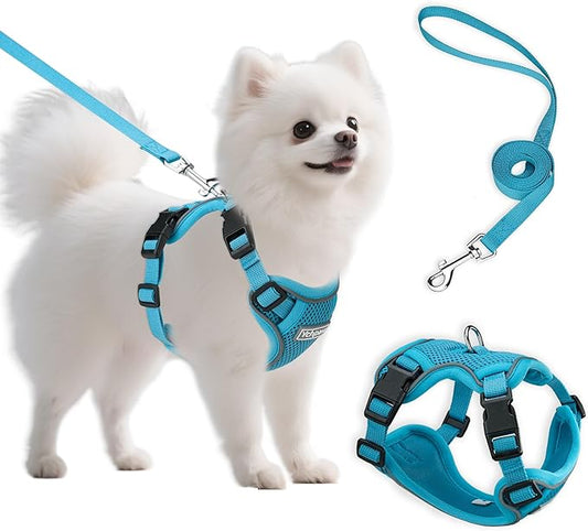Small Dog Harness and Leash Set, Reflective Soft Breathable Mesh Vest, 3 Buckles, Adjustable Neck and Chest,Step in Dog Harness for Walking, Running, Training, Turquoise, S