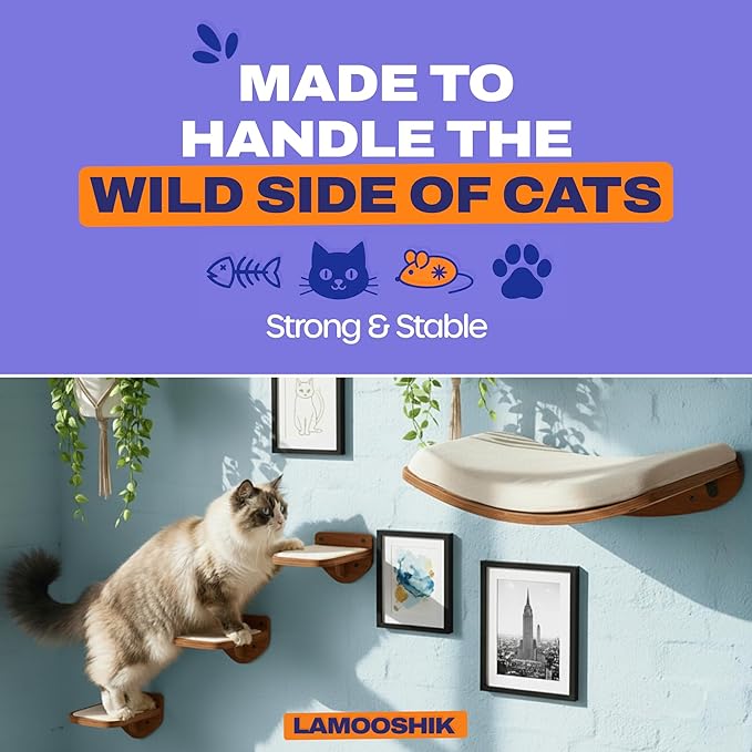 Cat Wall Shelves, Walnut Finish – Floating Cat Furniture with Curved Bed & Steps | Modern Minimalist Wood Climbing Shelves Set of 4 for Indoor Cats, Sturdy Wall-Mounted Design