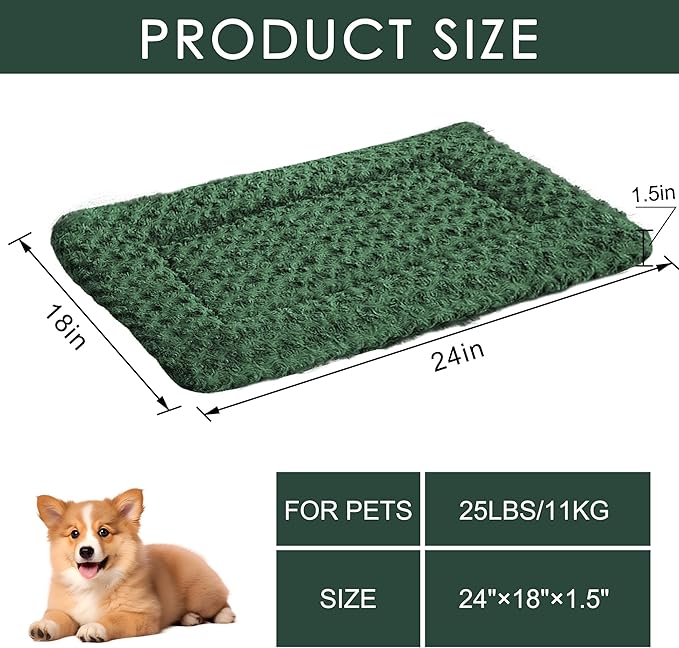 Washable Dog Bed Plush Orthopedic Outdoor Crate Mat with Non-Slip Bottom,Luxe Soft Kennel Pad for Pets,Cozy Cage Cushion & Pet Sleeping Mattress Large Sized,Medium,Small Dogs,24 x 18 inch,Green