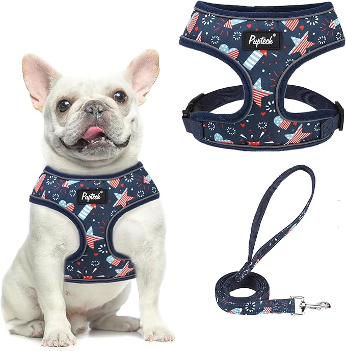 PUPTECK Soft Mesh Dog Harness and Leash Set Pet Puppy Cat Comfort Padded Vest No Pull Harnesses, Independence Dark Blue, M