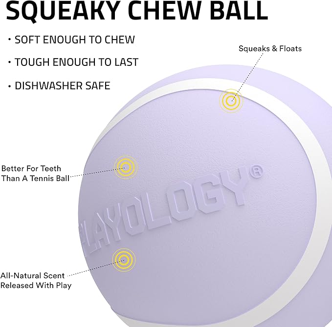 Playology Dog Toys | Squeaky Chew Ball - Bouncy Durable Floating Fetch Ball for Dogs | Medium Lamb Scented Toy - Easy to Clean and Made from Non Toxic Materials