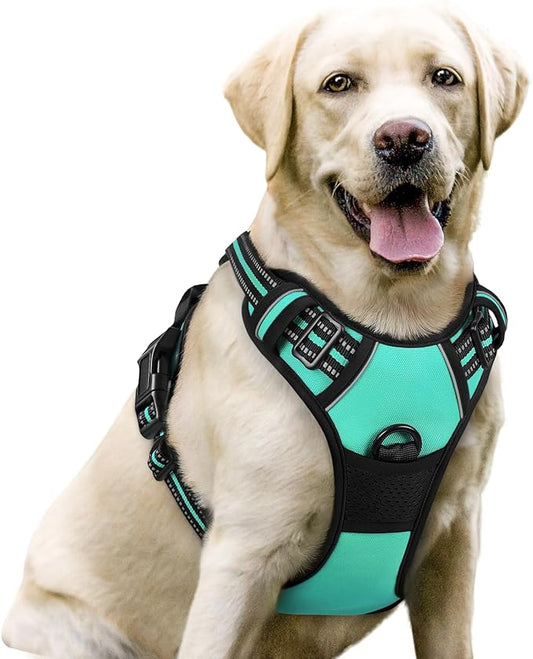 rabbitgoo Dog Harness No Pull with 2 Leash Clips, Adjustable Soft Padded, Reflective Oxford No Choke Pet Vest with Easy Control Handle for Large Dogs, Turquoise, L