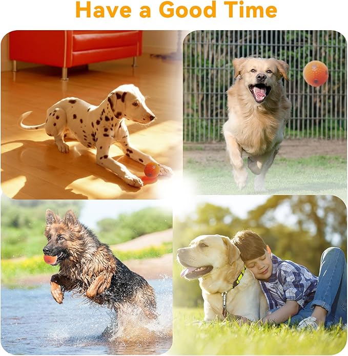 ptlsy Automatic Dog Ball Launcher - Interactive Puppy Pet Indoor Thrower for Small & Medium Dogs, 3 Balls Included (2 inch, Purple)