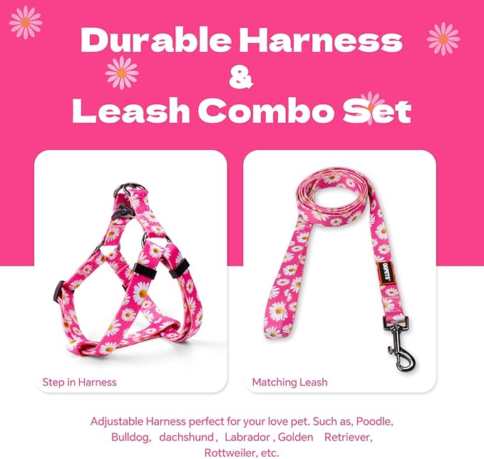 QQPETS Dog Harness Leash Set Adjustable Heavy Duty No Pull Halter Harnesses for Small Medium Large Breed Dogs Back Clip Anti-Twist Perfect for Walking (L(23"-32" Chest Girth), Daisy)