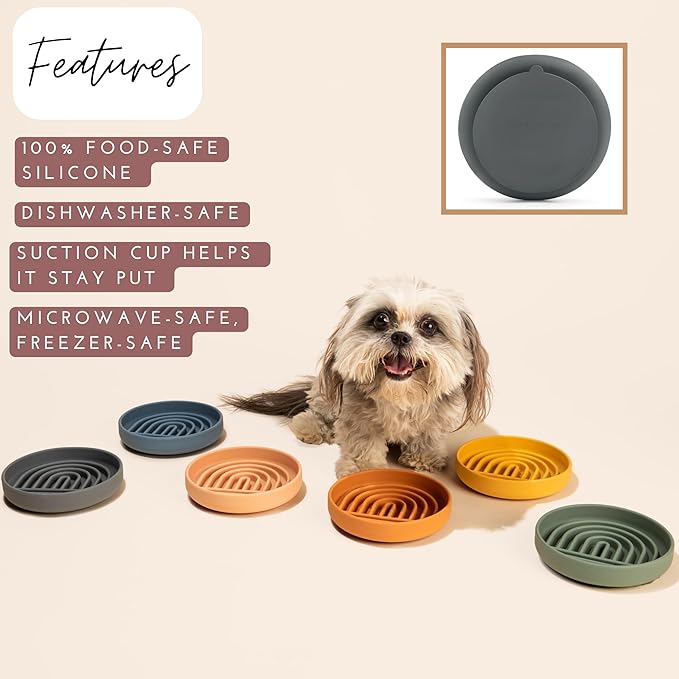 Should We Go? Slow Feeder for Dogs & Cats, The Slowdown Bowl Silicone Slow Eating Mealtime Solution with Modern Lick Mat Design, Reduces Gulping, Fits 1 Cup, 6” Across x 1.25” Tall, Small-Spruce