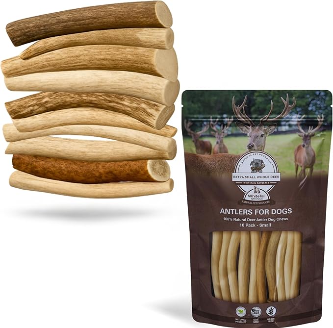WhiteTail Naturals - Antlers for Small Dogs (10 Pack) Deer Antler Dog Chew Bones for Small Aggressive Chewers - Long Lasting Horn Chew Toys - Naturally Shed