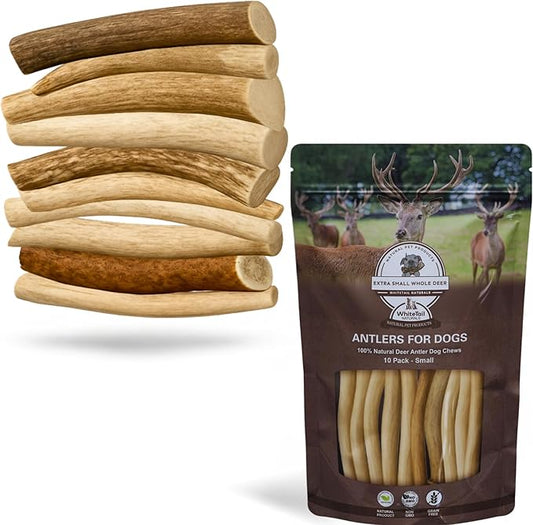 WhiteTail Naturals - Antlers for Small Dogs (10 Pack) Deer Antler Dog Chew Bones for Small Aggressive Chewers - Long Lasting Horn Chew Toys - Naturally Shed