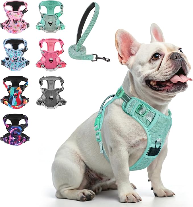 BEAUTYZOO No Pull Dog Harness, Adjustable Dog Harness and Leash Set -Easy Wearing with 3 Buckles/Control Handle,No Choke Soft Padded Reflective Pet Vest for Training Walking Hiking,Solid Aqua Blue S