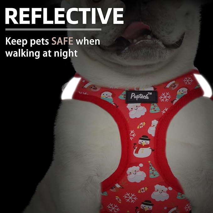 PUPTECK Dog Harness and Leash Set for Small Medium Dogs No Pull Step-in Soft Mesh Puppy Cat Vest Harnesses Reflective at Night, Christmas, M