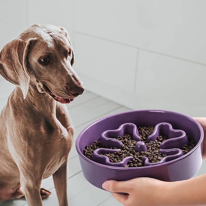 Slow Feeder,Ceramic-Slow Feeder Dog Bowls,Puzzle Food Bowl Maze,2.5 Cups Slow Feed Dog Bowl for Medium and Large Breed Dogs,Purple