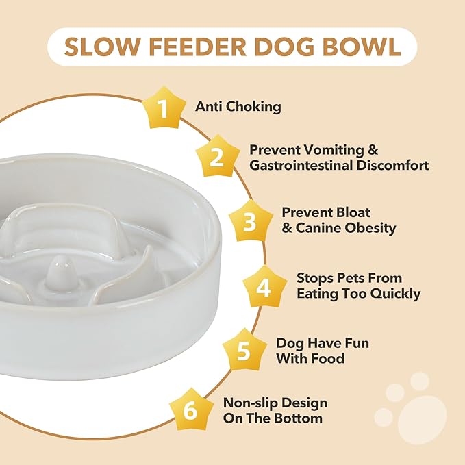Ceramic 0.9 Cup Dog Bowl Slow Feeder for Small Dog and Cat, 6.1inch Pet Slow Dish, Stop Bloat, Preventing Choking(Single Bowl, Reactived Glaze -White)