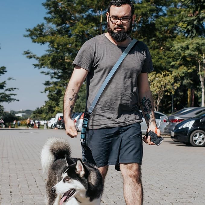 Roses&Poetry Hands Free Dog Leash for Medium Large Dogs Heavy Duty, No Pull Bungee Dog Running Waist Leash for Walking Training with Car Seatbelt 4-6FT