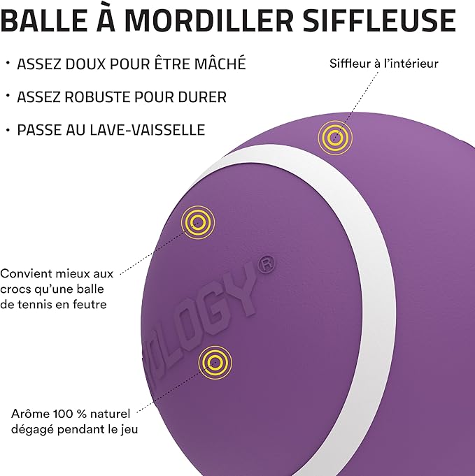 Playology Dog Toys | Squeaky Chew Ball - Bouncy Durable Floating Fetch Ball for Dogs | Jumbo Bacon Scented Toy - Easy to Clean and Made from Non Toxic Materials