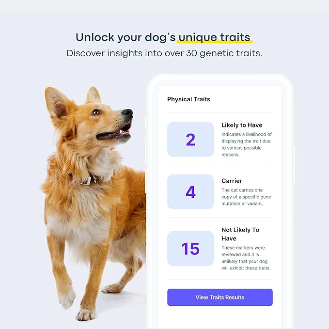 Basepaws Dog DNA Testing Kit - 330+ Breeds, 280+ Health Risks, and 30+ Traits - Comprehensive Mixed Breed Identification, Pet DNA Test kit, Canine Genetic Ancestry and Heritage