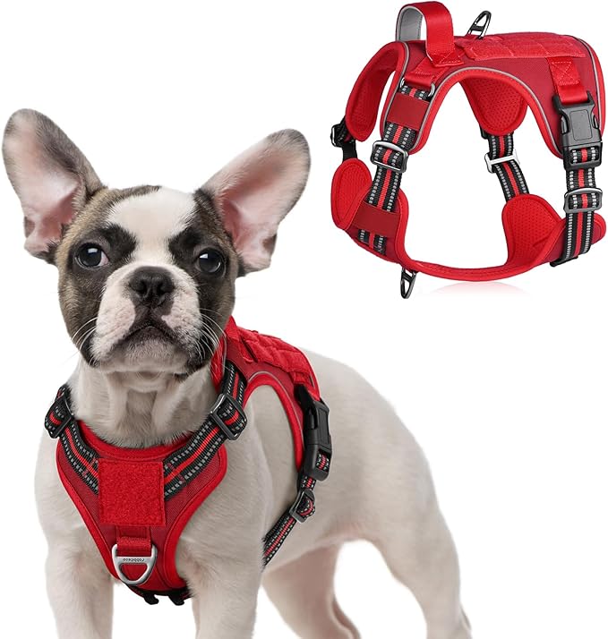 rabbitgoo Tactical Dog Harness for Small Dogs, No Pull Military Service Vest with Handle & Molle, Easy Control for Training Walking, Adjustable Reflective Straps, Red, S