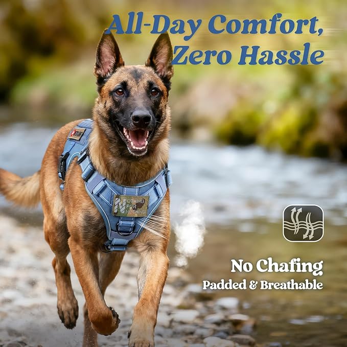 rabbitgoo Tactical Dog Harness for Large Dogs, No Pull Upgraded Reflective Heavy Duty Molle Vest with Handle, Adjustable Military Service Dog Vest for Walking Hiking Training, Blue, L